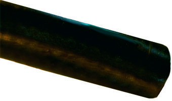 PVC Standard